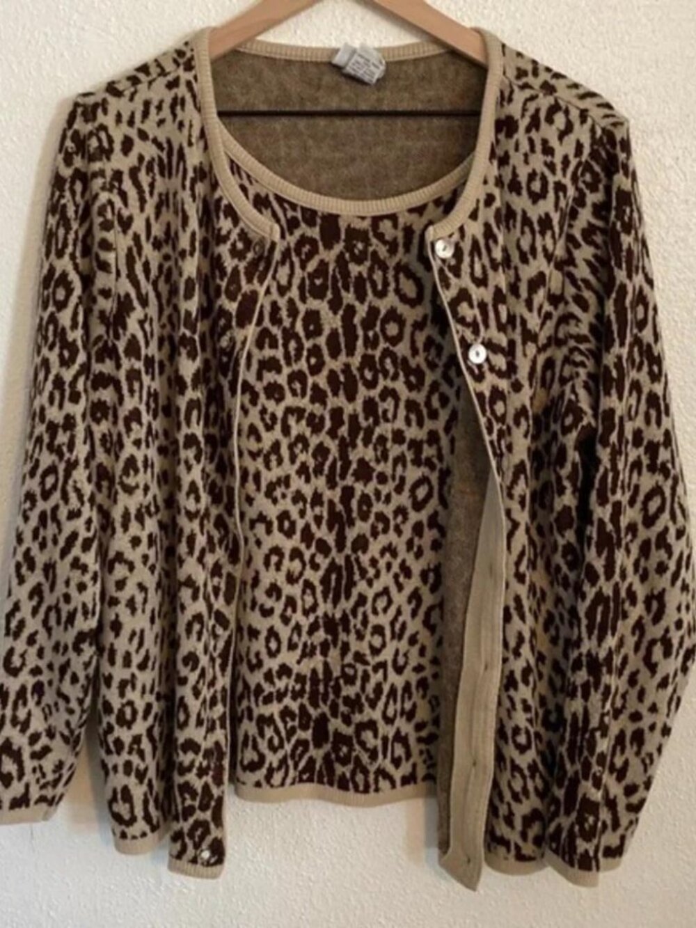 Animal Print Faux Sweater Set